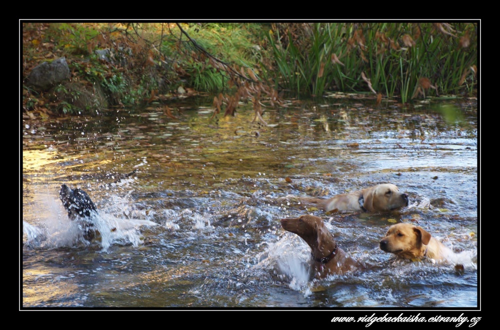 koup_n__ko na kod_.jpg